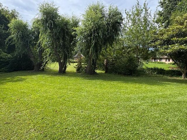 place photo 47