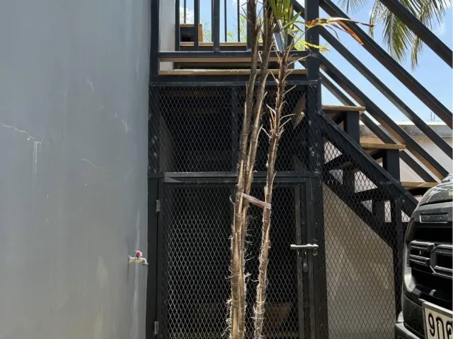 place photo 15