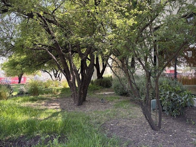 place photo 36