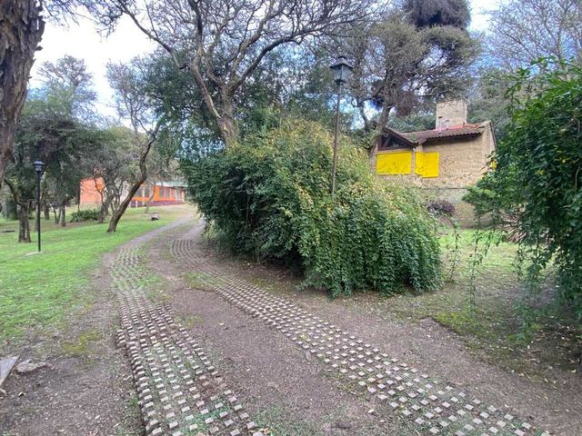 place photo 46