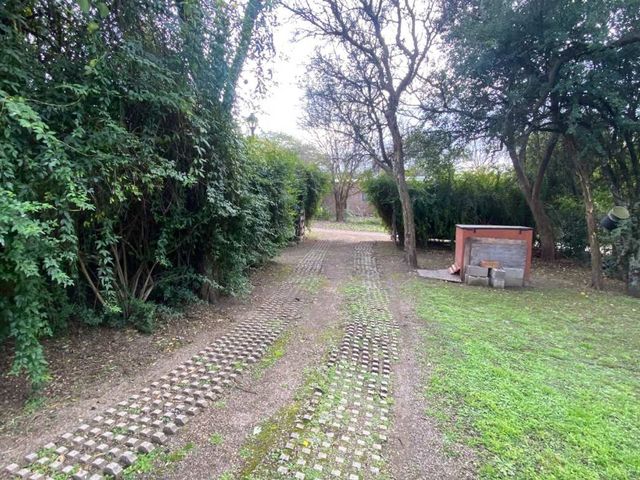 place photo 45