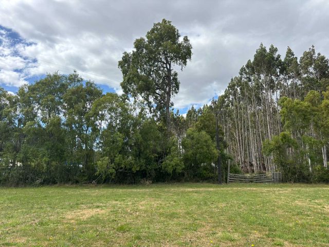 place photo 19