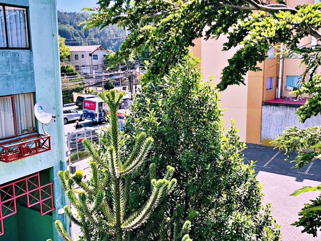 place photo 24