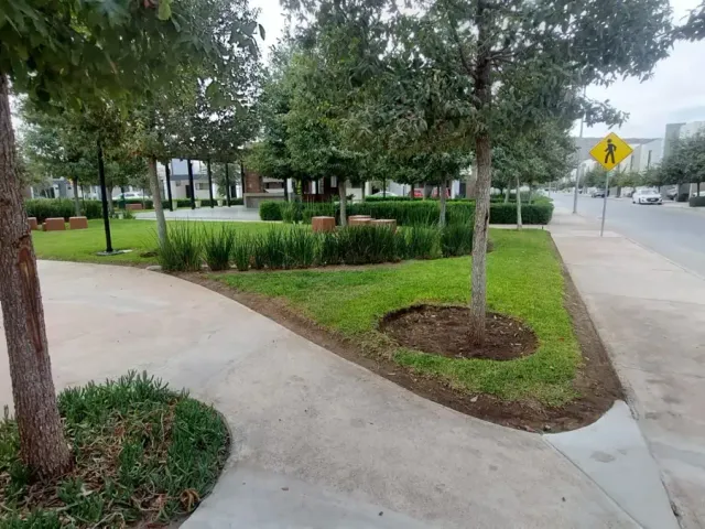 place photo 17