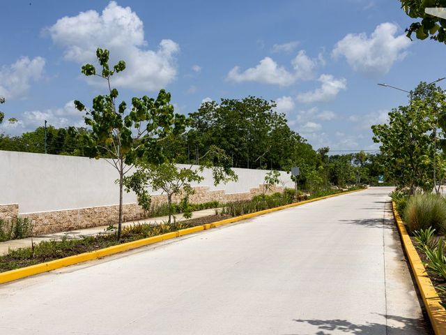 place photo 24