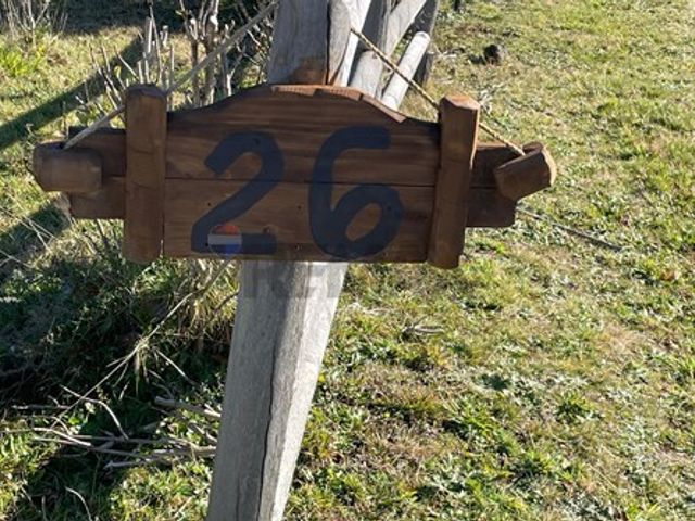 place photo 57