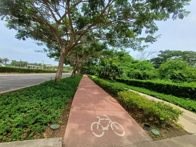 place photo 11