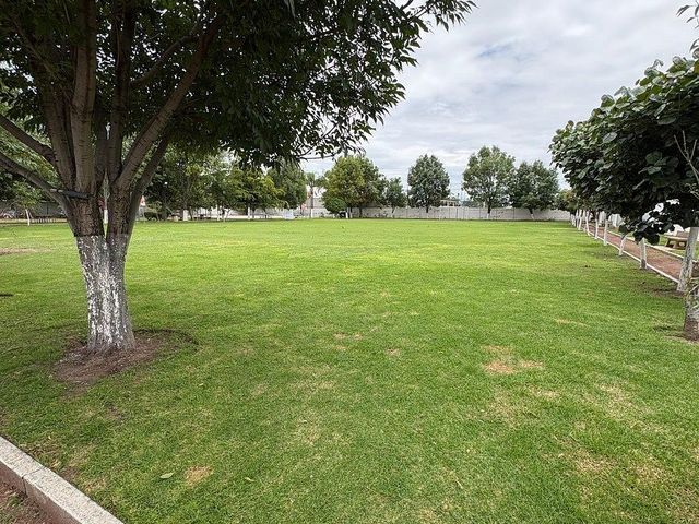 place photo 28