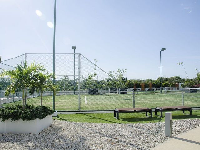 place photo 31