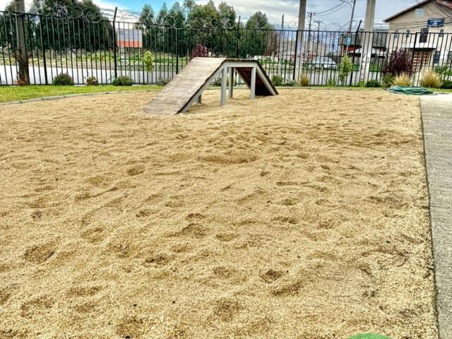 place photo 23
