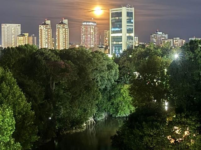 place photo 42