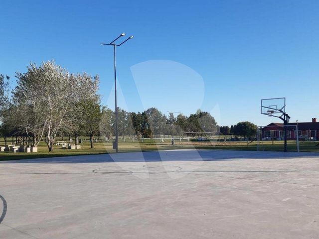 place photo 23