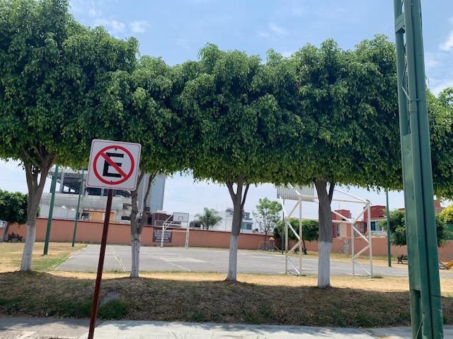 place photo 23