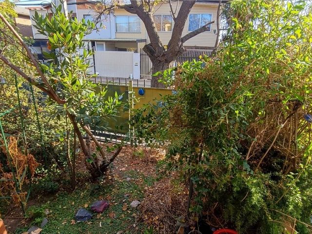 place photo 17