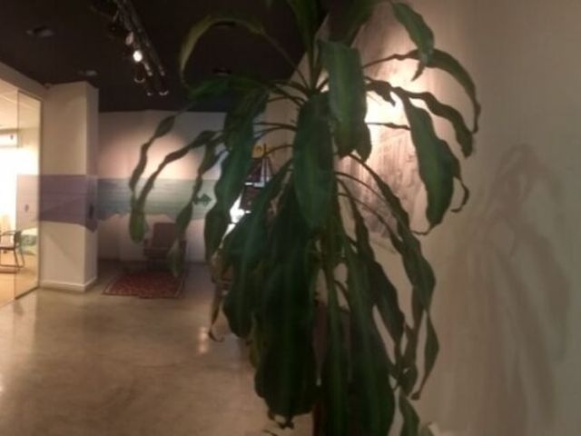 place photo 35