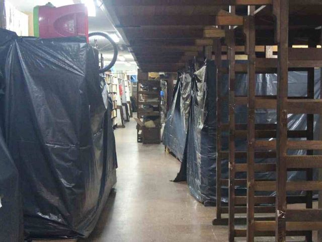 place photo 47