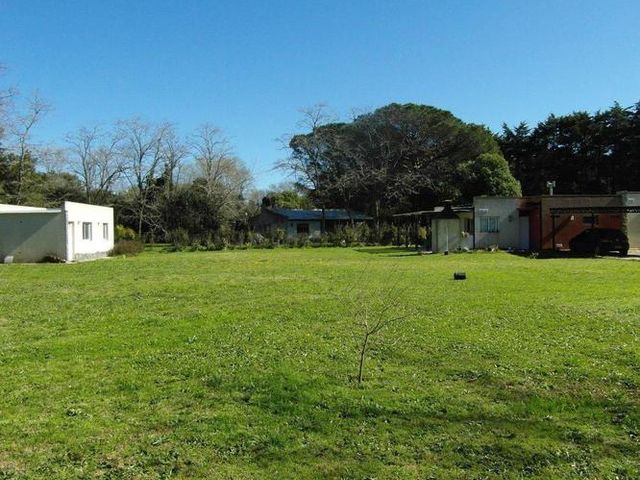 place photo 6