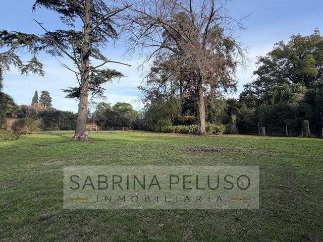 place photo 32