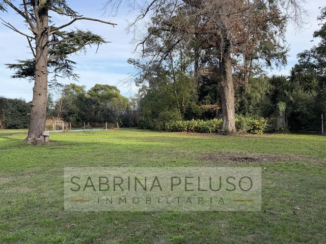 place photo 31