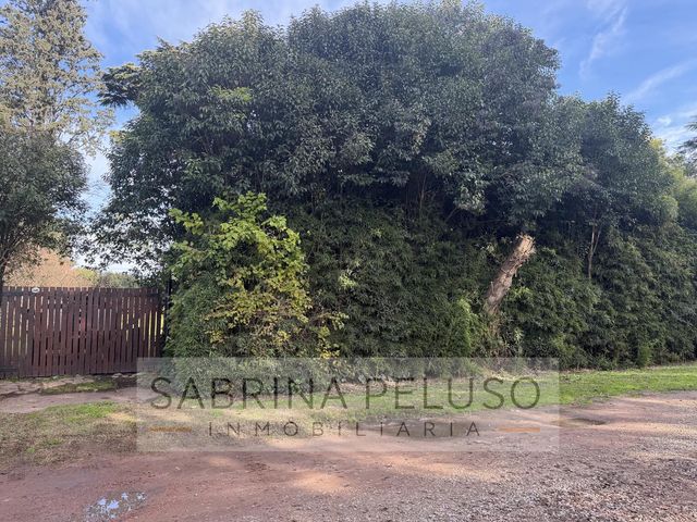 place photo 43