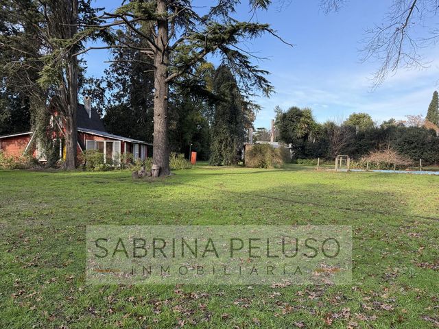 place photo 40