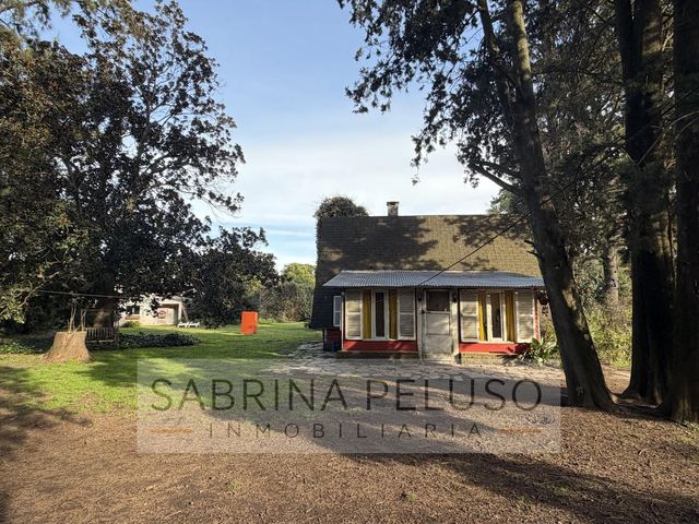 place photo 38