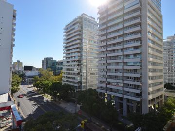place photo 53