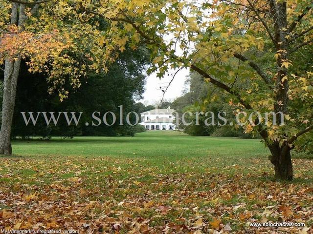 place photo 29