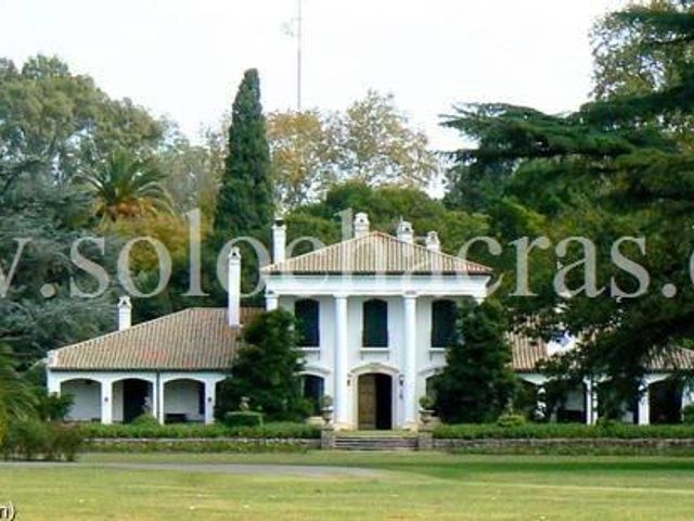 place photo 27