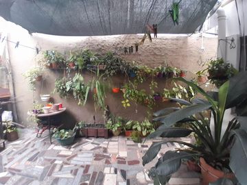 place photo 14