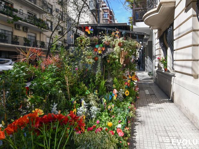 place photo 31