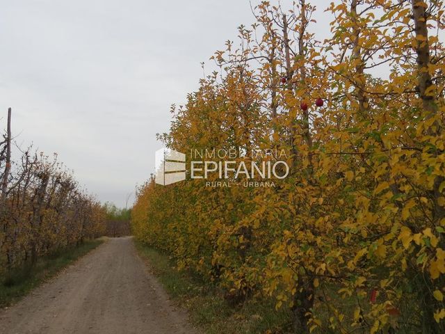 place photo 23