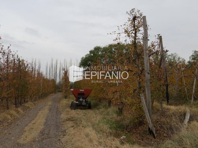 place photo 27