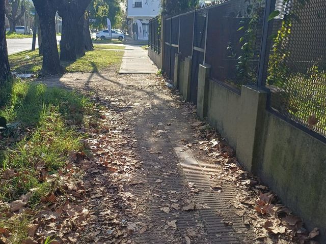place photo 27