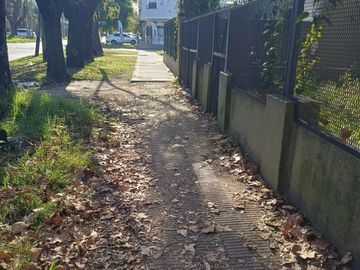 place photo 27