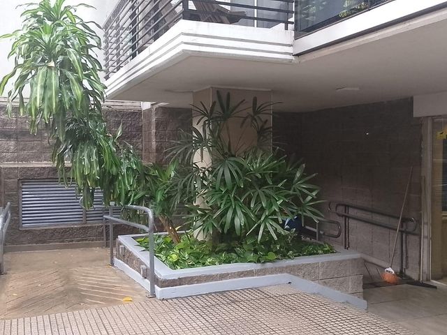 place photo 36
