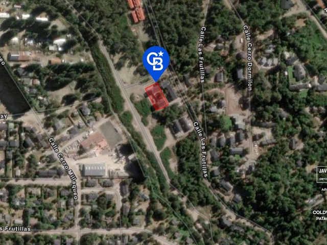 place photo 15