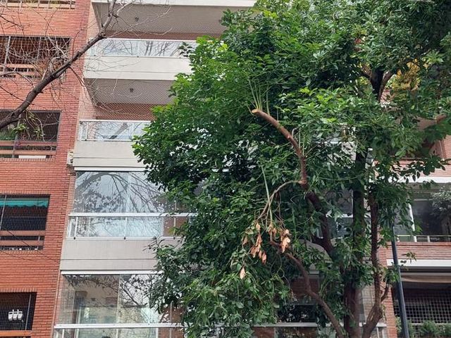 place photo 43