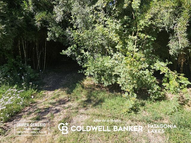 place photo 35