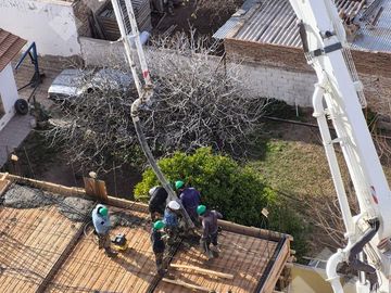 place photo 20