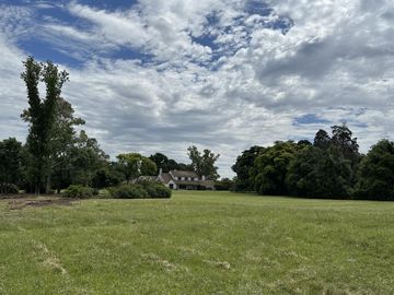 place photo 23
