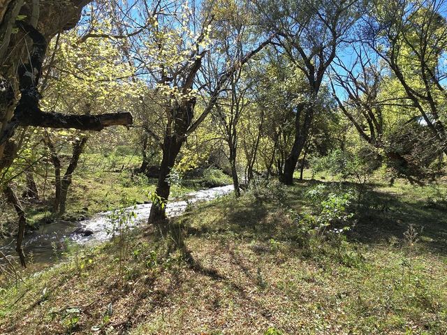 place photo 54