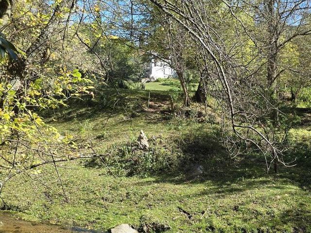 place photo 49