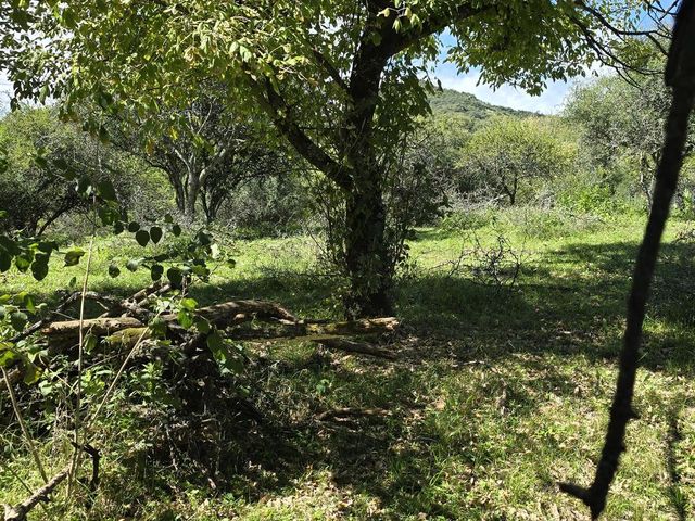 place photo 65
