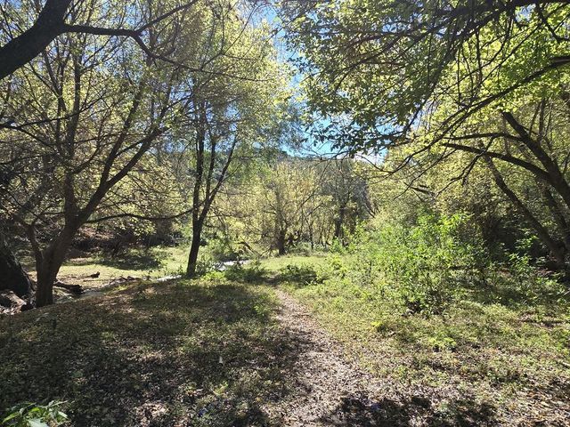 place photo 56