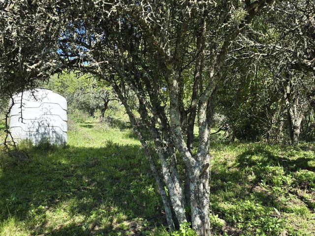 place photo 64