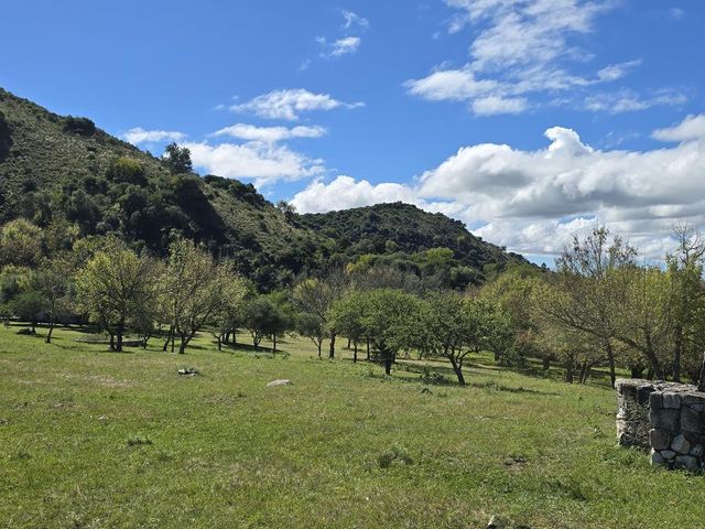 place photo 43