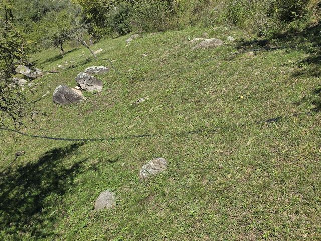 place photo 39