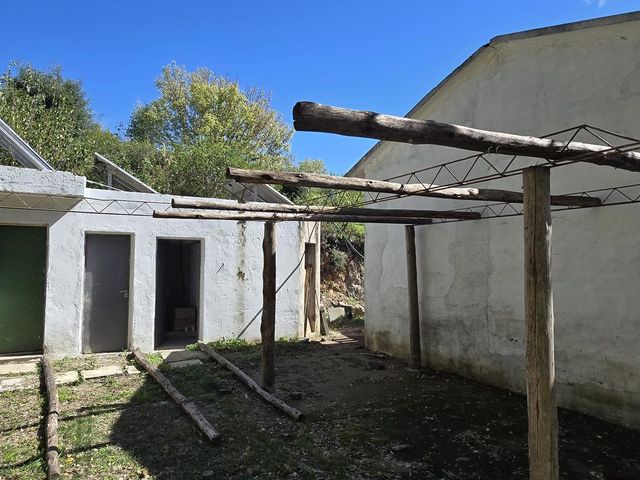 place photo 71