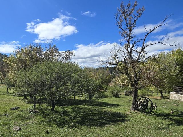 place photo 34